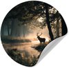 Cerf - Ruisseau forestier - Mystique