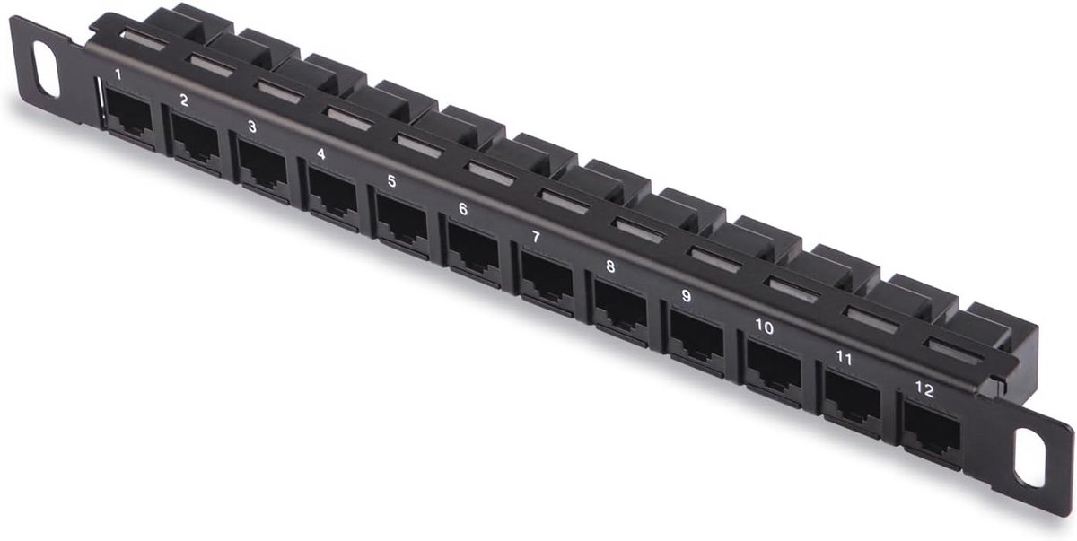 12 Poorts Patch Paneel CAT6 0.5U voor 10 Inch Server Rack