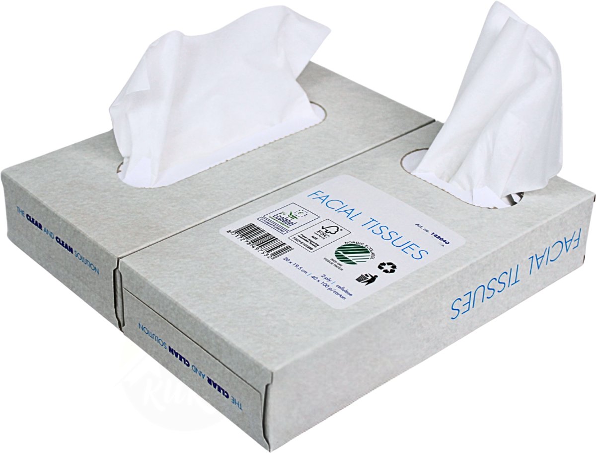 KURTT - 500x Zakdoekjes (2-laags tissue), Voordeelverpakking, (5 x 100) papieren zakdoekjes, 20x20 cm, fsc en ecolabel - reinigingsdoekjes cellulose