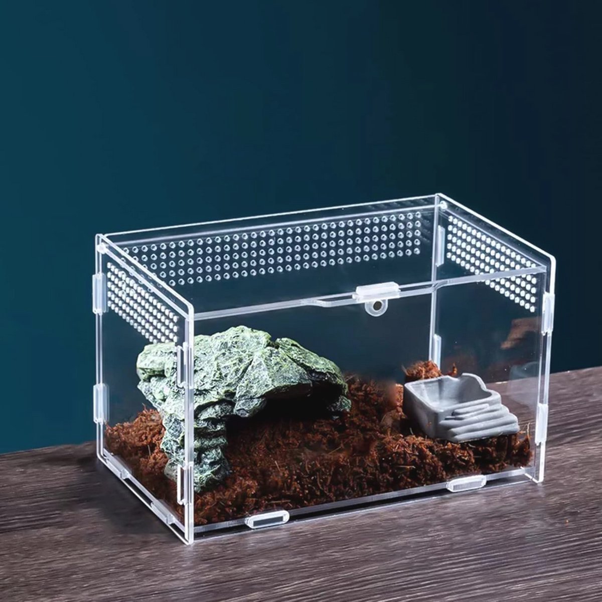 Transparante Acryl Insectenvoerdoos voor Fok van Reptielen en Insecten