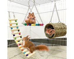 Gsedaox - Hamster Hangmat & Schommel -Knaagdieren Speelgoed - met Ladder- Muis speelgoed