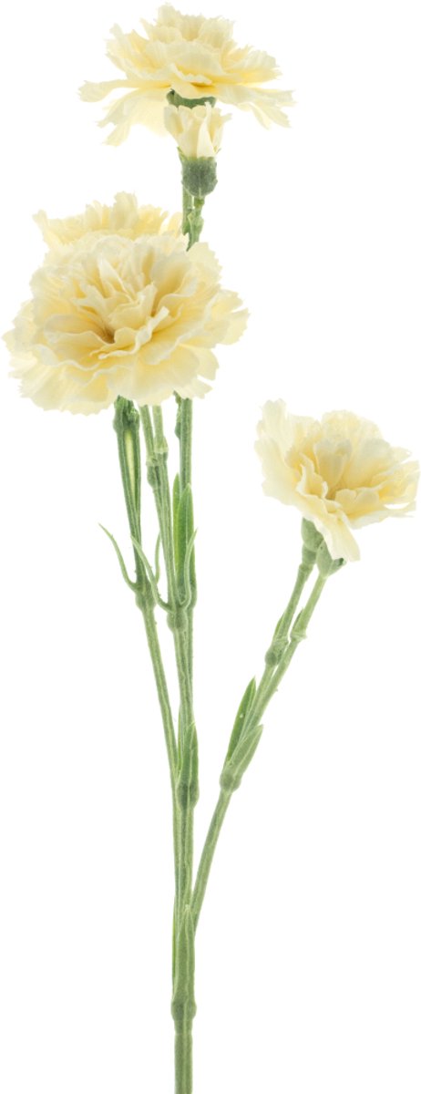 Nova nature - Dianthus Charly beige 62 cm kunstbloem