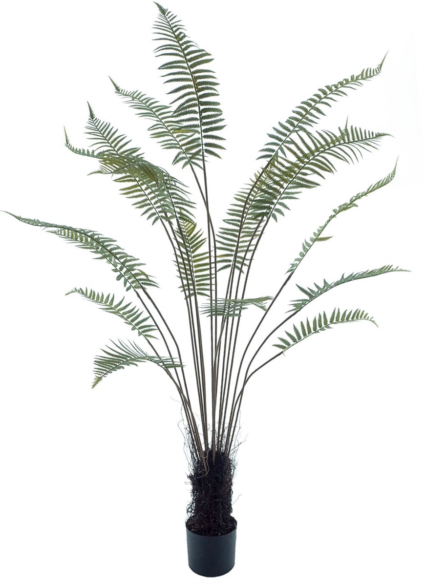 PrettyPlants Kunst Palmvaren 180cm | Kunstpalm 180cm | Grote Kunstplant | Kunstplant voor binnen | Tropische Kunstplant | Groene kunstplant 180cm