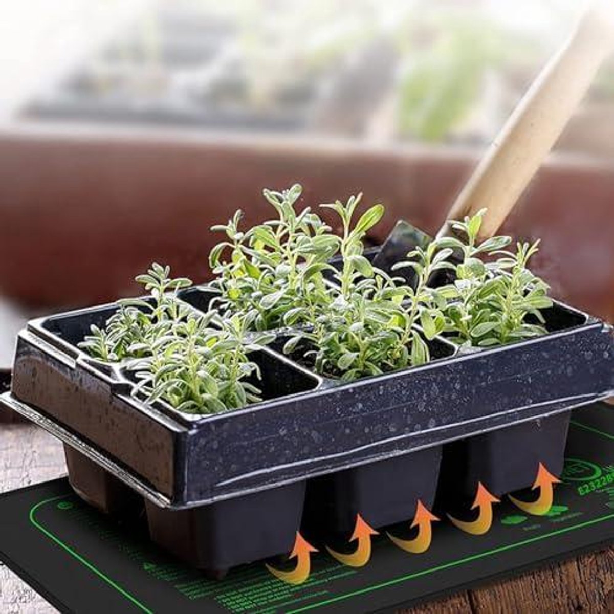 Warmte Mat en Digitale Thermostaat Set voor Kieming en Indoor Tuinieren - Hydrocultuur Ver