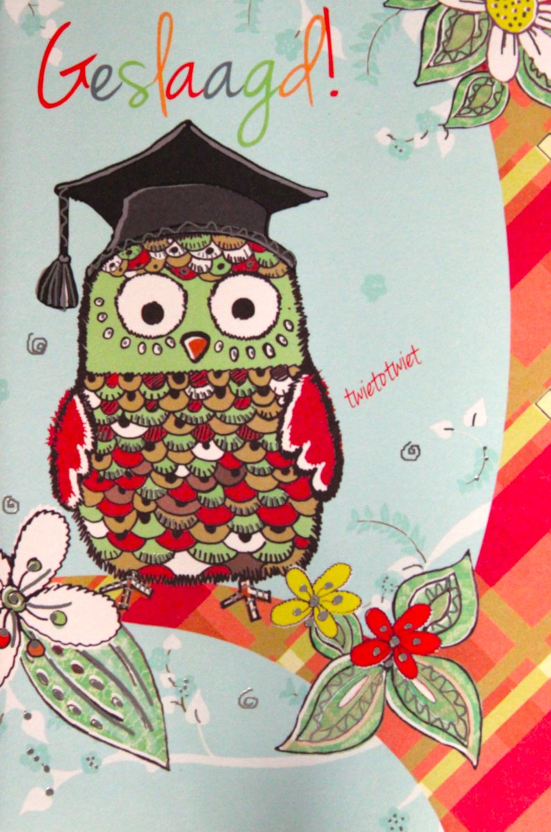 6 Luxe Geslaagd Wenskaarten - Wenskaart - Kaart Wens Kaart Examen Geslaagd School Studie Opleiding - Diploma - Gefeliciteerd Uil - 16.2x11.5cm - Rood Wit Blauwe Envelop - Art of Cards - Gratis Verzonden - Hoge Afnamekortingen