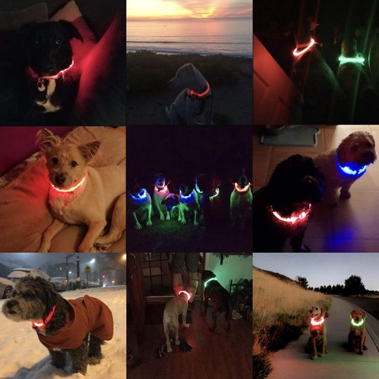 PcEoTllar Oplaadbare hondenhalsband, led-hondenhalsband met 3 modi, waterdicht, verstelbaar, lichtgevend, veiligheidshalsband voor kleine, middelgrote en grote honden, roze (DC5000)-L