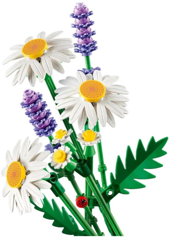 LEGO Botanicals Madeliefjes Bloemen - Bouwpakket voor Kinderen - 11508