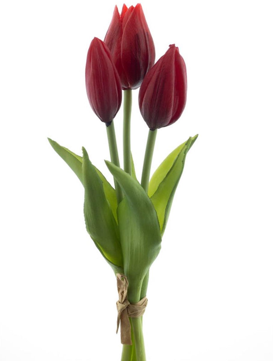 Nova nature - PSO Holland Tulip bundle Sally x3 red 25 cm kunstbloem