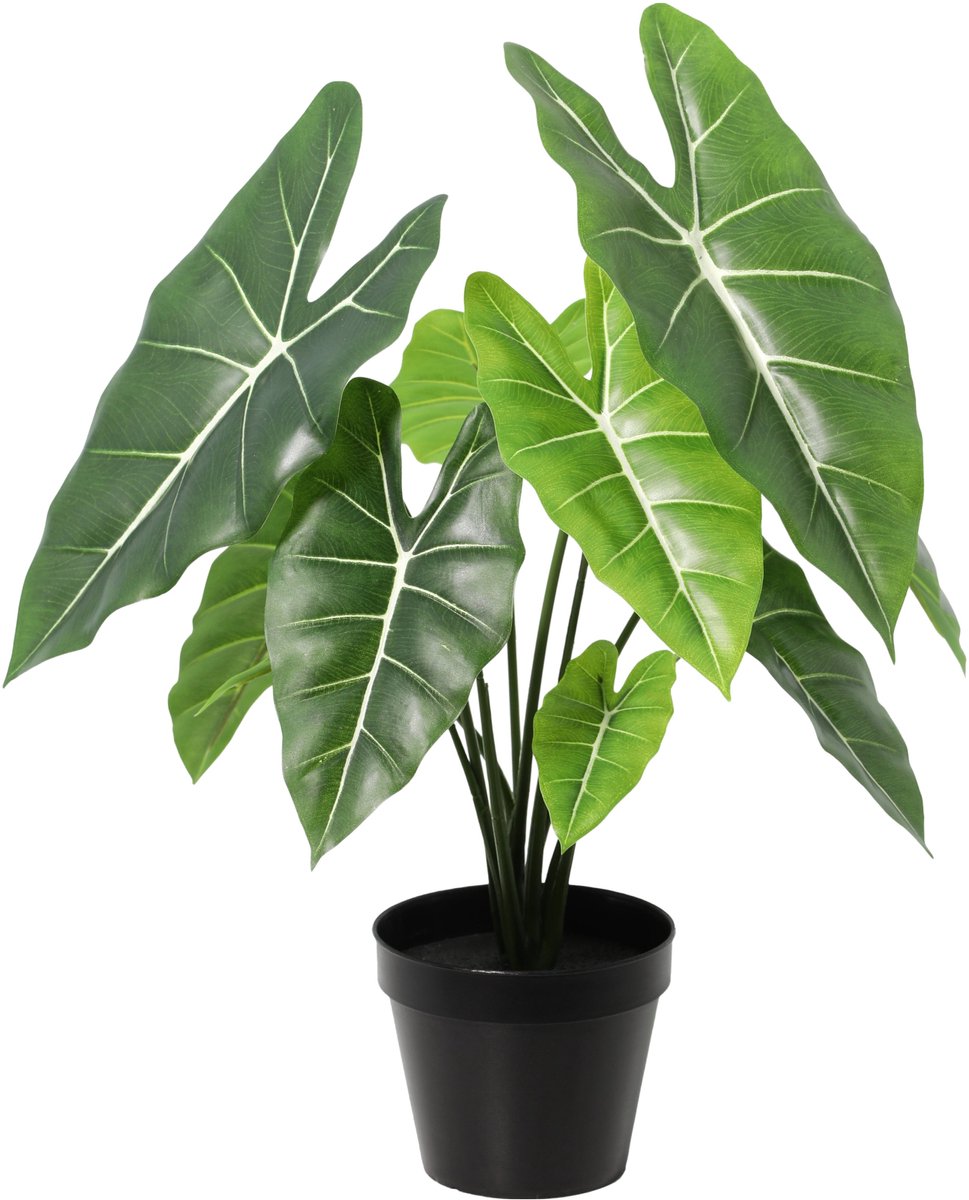 Florafy Kunstplant Alocasia 42cm - Kunstplanten voor binnen - Onderhoudsvrij Groen