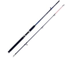 Lineaeffe Caspian Pro Spinhengel Zilver 2.40 m / 250 g