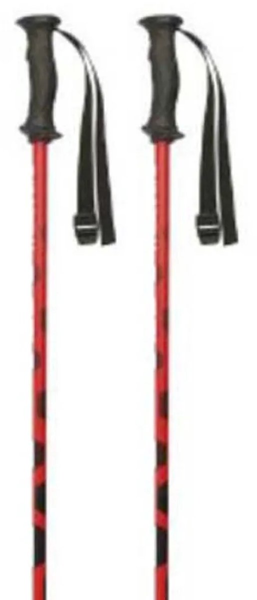 Masters Carbon Rtl Stokken Zilver 125 cm