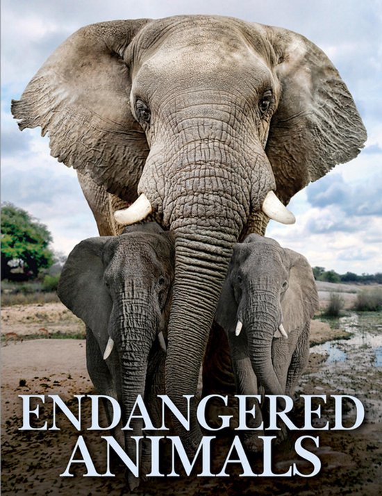 Animals in Photographs- Endangered Animals - cover