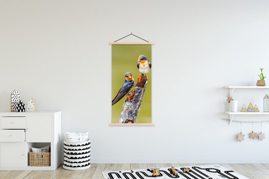 Porte-affiche avec affiche - Affiche scolaire - Vogels - Branche - Portrait - 90x180 cm - lattes vierges