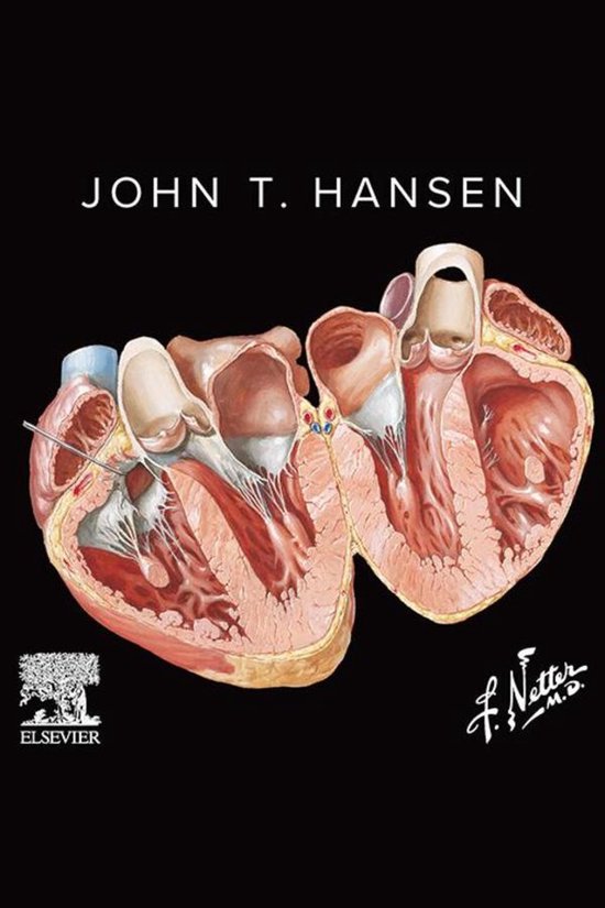 Netter's Anatomy Flash Cards - Ebook - cover