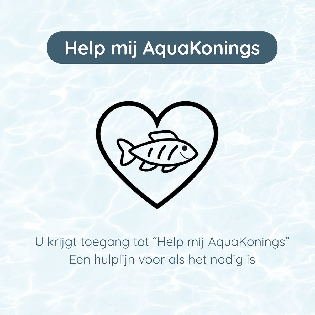 AquaKonings Aquarium 30x18x21cm - 11L met afgeronde hoeken thumbnail 6