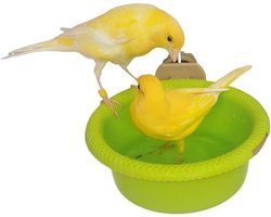 Badhuisje voor Vogelkooi met Zitstok: Ideaal voor Kanarie, Parkiet en Kleine Vogels