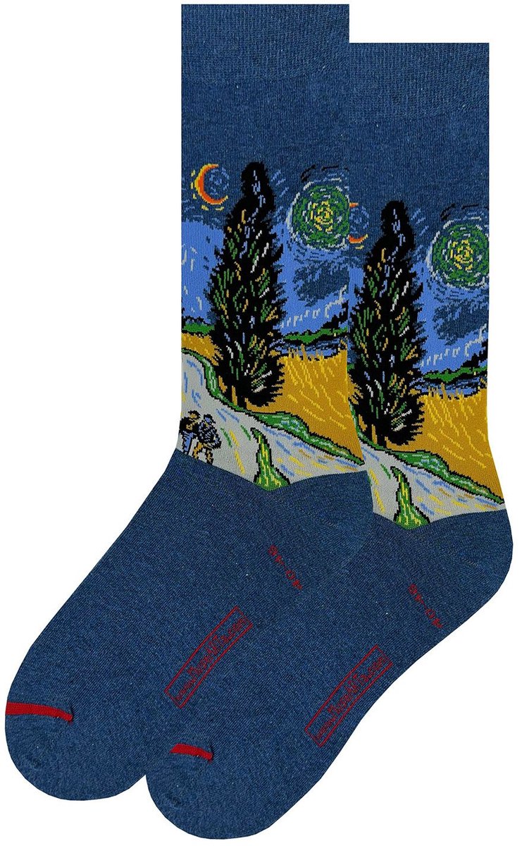 Vincent Van Gogh - Country Road 40-46