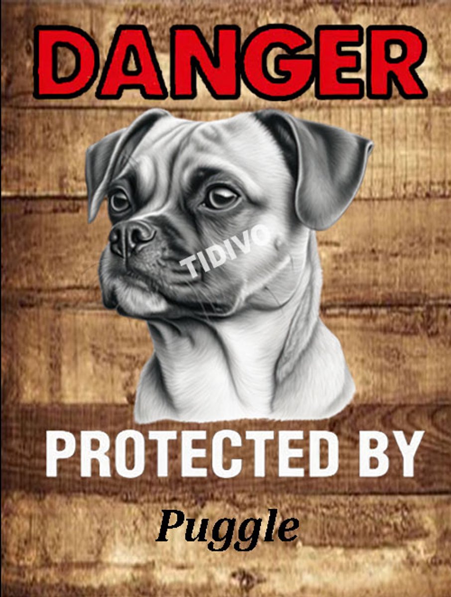 Puggle 19
