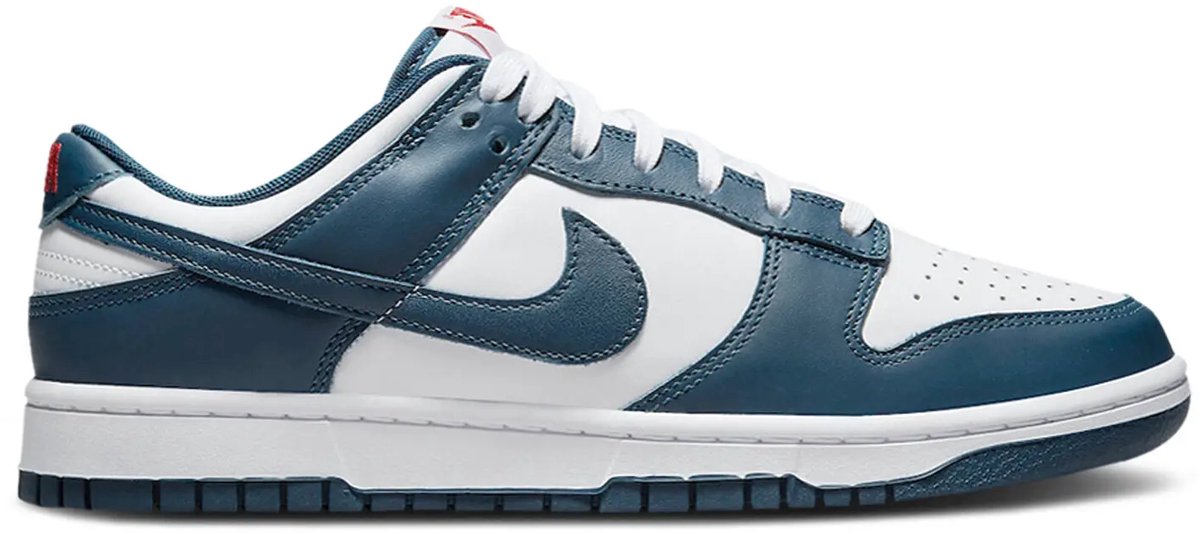 Nike Nike Dunk Low BLAUW