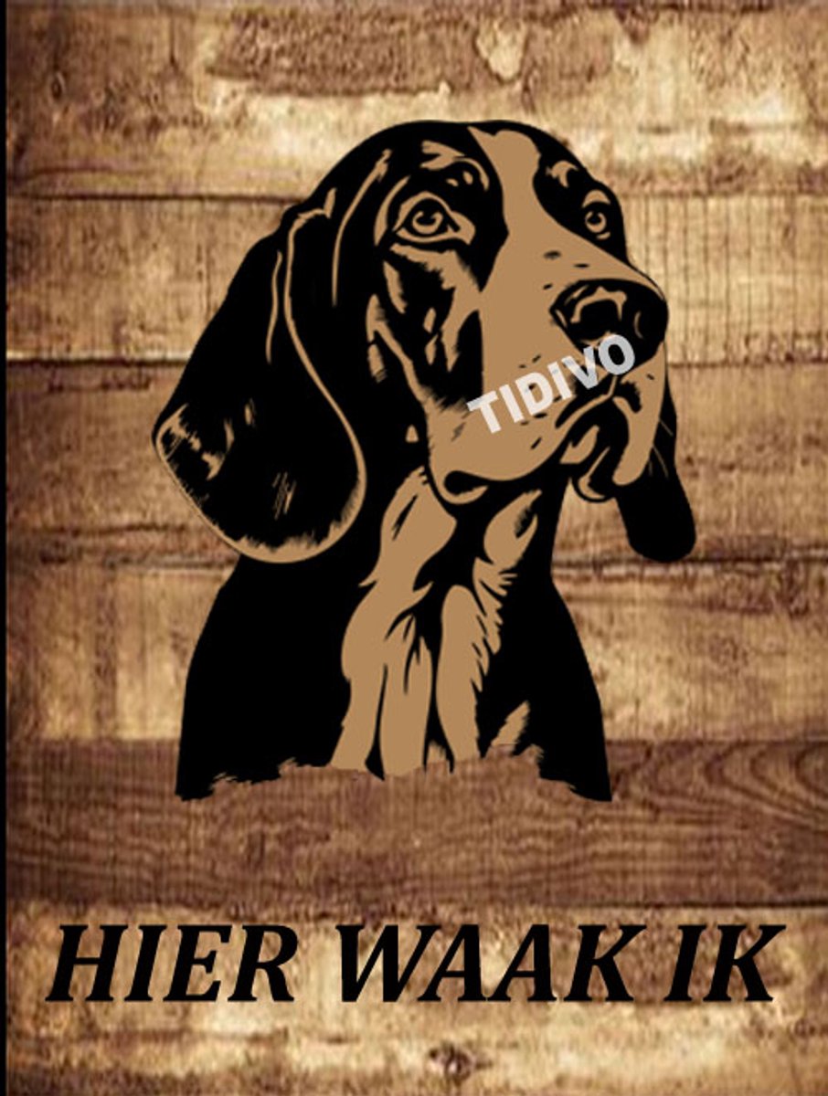Treeing Walker Coonhound 20
