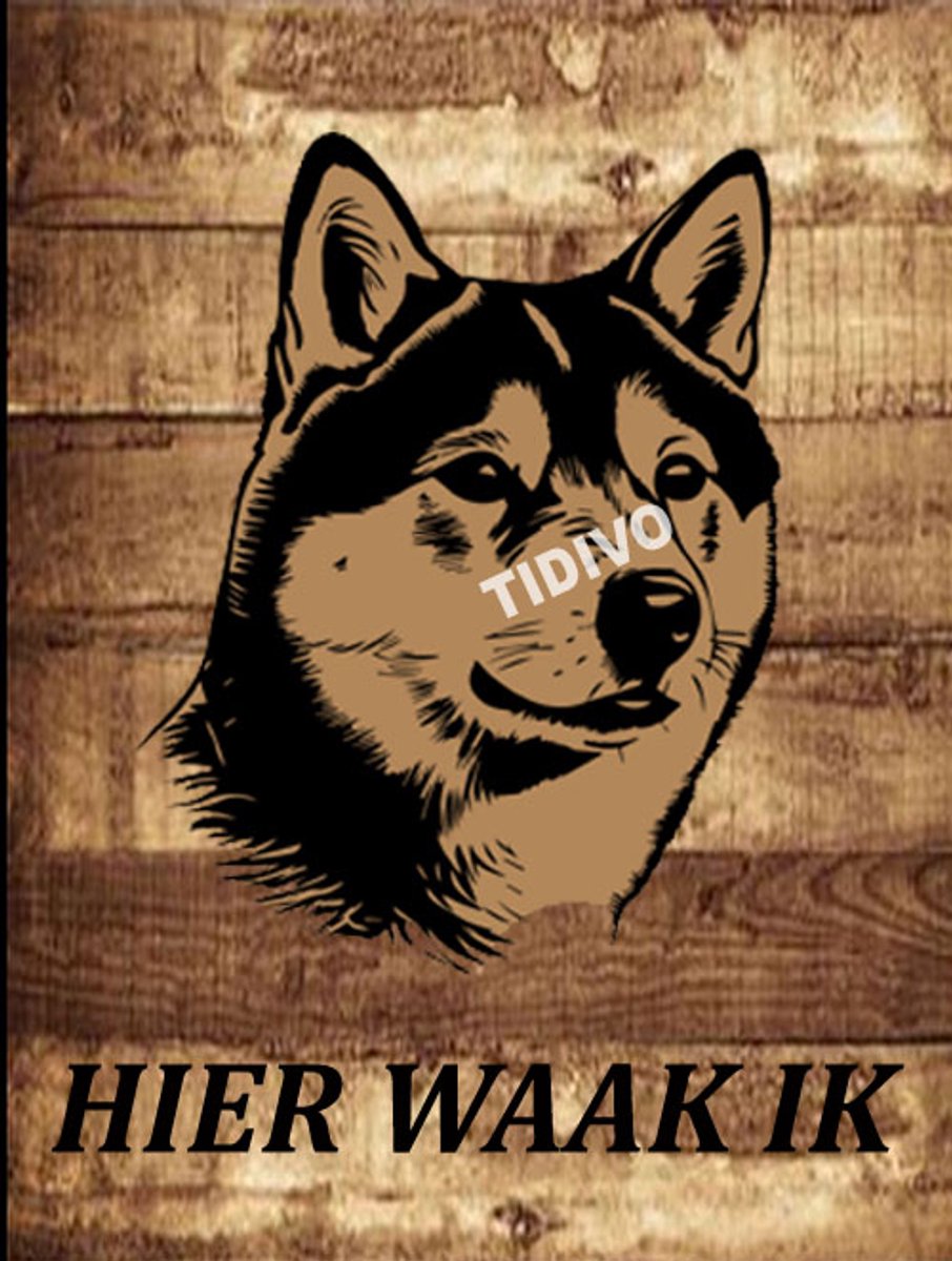 Shiba 20
