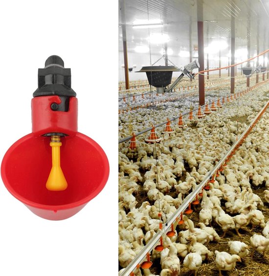Lot 50 Abreuvoirs Automatiques Plastique Pour Poules - Abreuvoir Volaille Lapin Canard Dinde