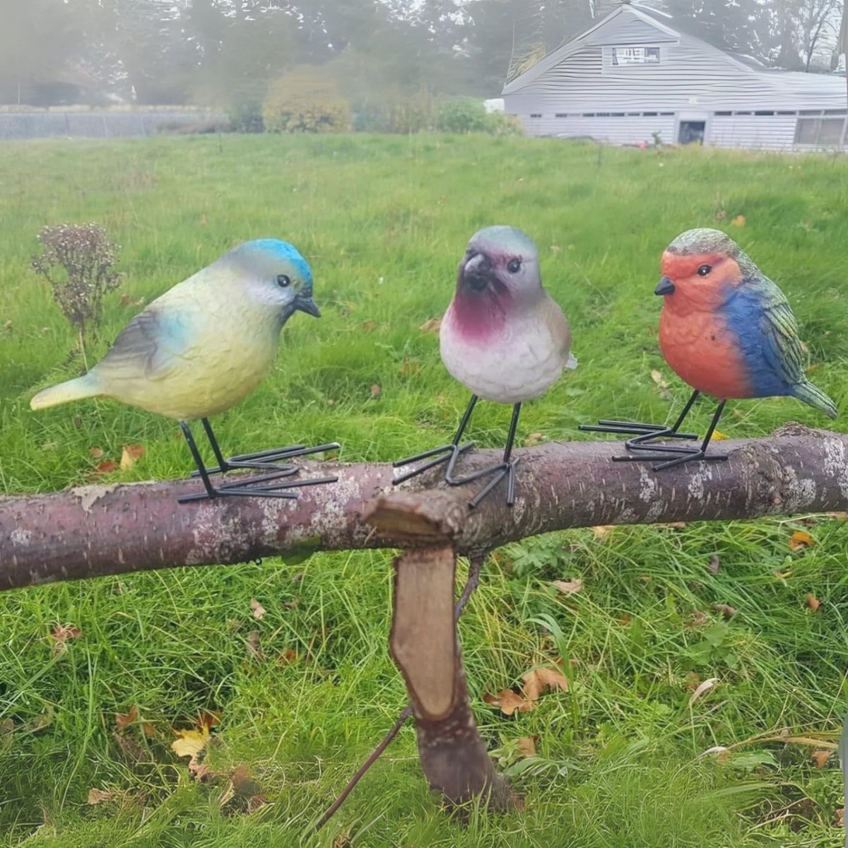 Set van 3 Kleine Vogelbeeldjes - Kleurrijke Decoratieve Ornamenten voor Tuin en Terras - Geweldig Cadeau voor Vogelliefhebbers