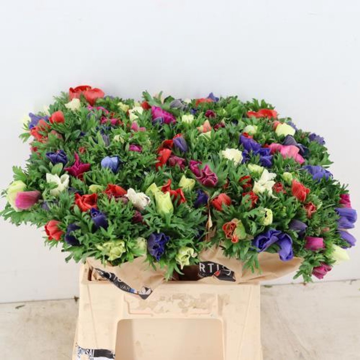 50x Anem.mix/bos 40cm