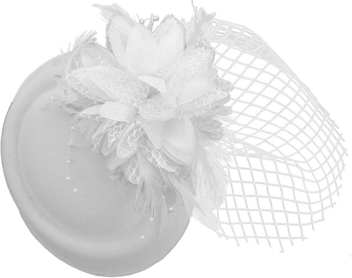 Elegante Witte Pillbox Hoed met Vogelkooi Sluier voor Feestelijke Gelegenheden
