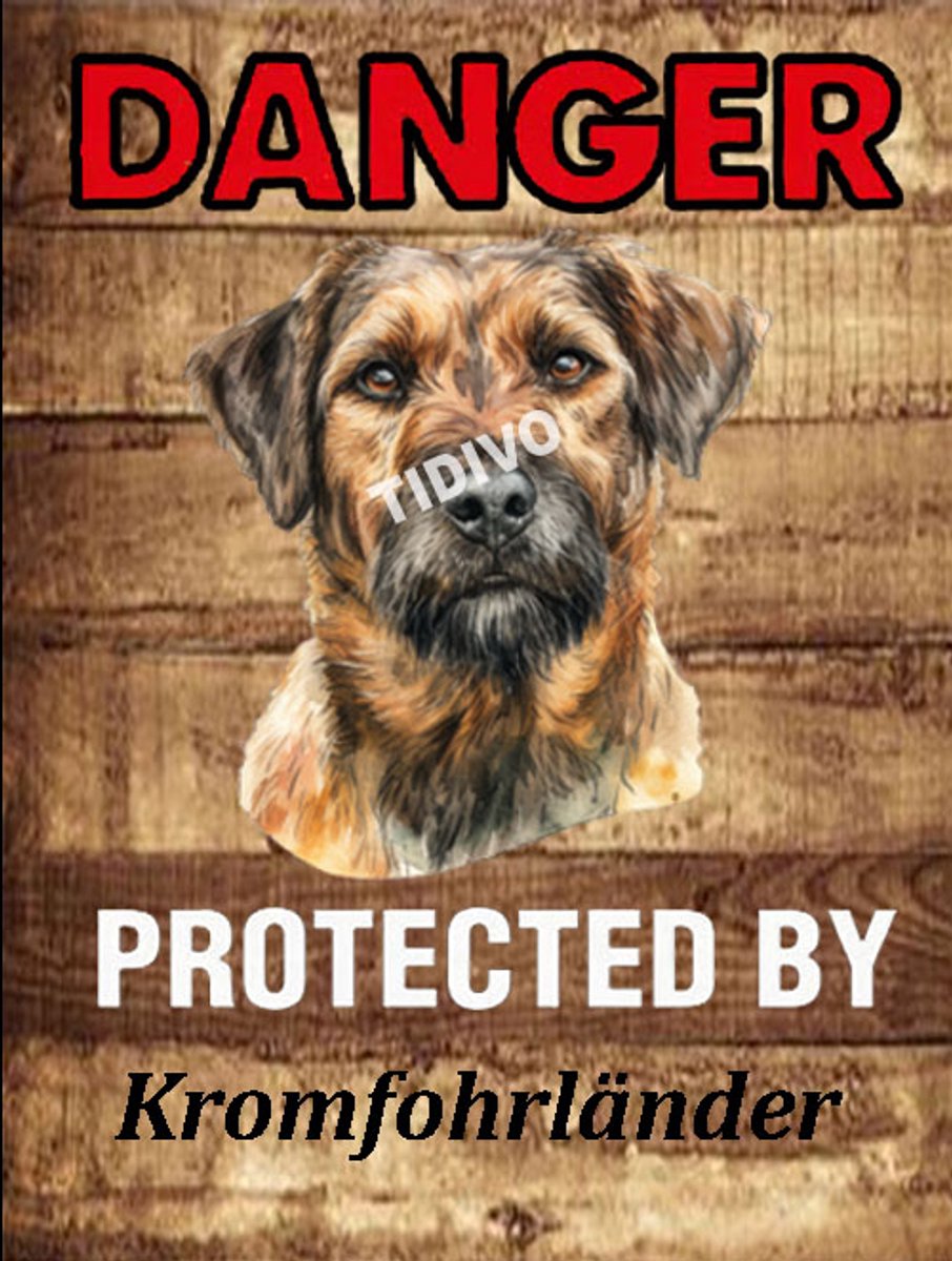 Kromfohrländer 19