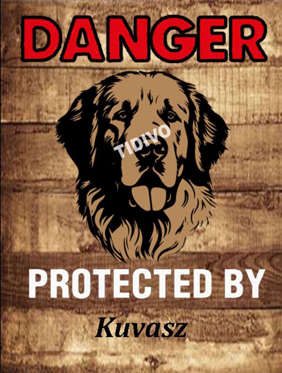 Kuvasz 19