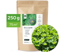 MRS Microklaver Gazon - 250 gram voor 75 m² - Natuurlijke bemester en bodemverbeteraar - Minder onderhoud - Geschikt voor schaduw en zon