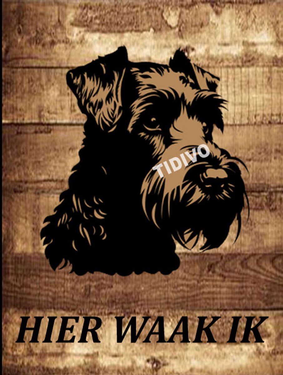 Kerry Blue Terrier 20