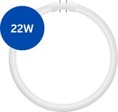 TL5 Ronde TL-buis 22W – 865 Koel Wit – 2GX13 (4-pins) Ø 23cm – Vervangt Philips/Osram - 6500K