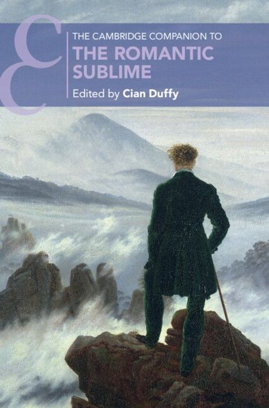 Cambridge Companions to Literature - The Cambridge Companion ... - cover