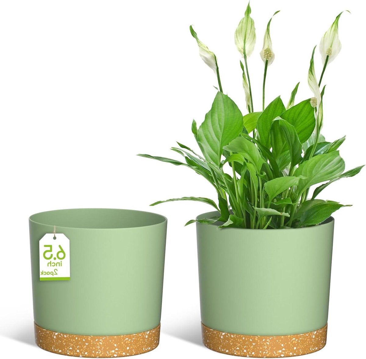 CSGoods - Moderne plantenbakken met afvoergaten en afneembare schotel, set van 2. Geschikt voor huis, tuin en vensterbank. Maat 16,5 cm. Groene plastic bloempotten.