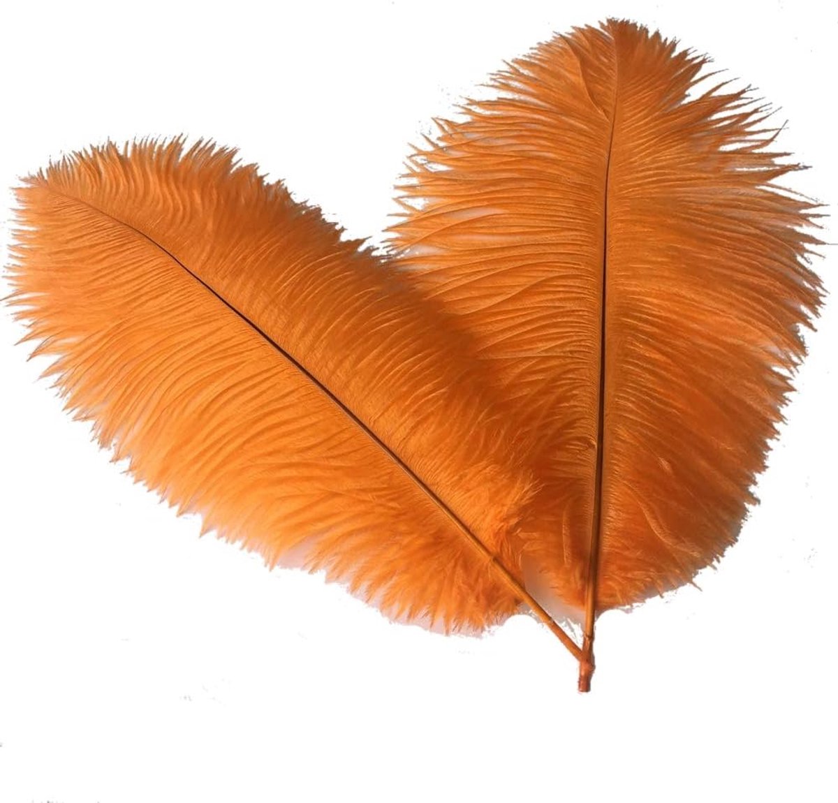 Ostrich Feather 35-40cm voor Centerpiece - Wedding Dinner Home Decoration Set van 10 (Oran