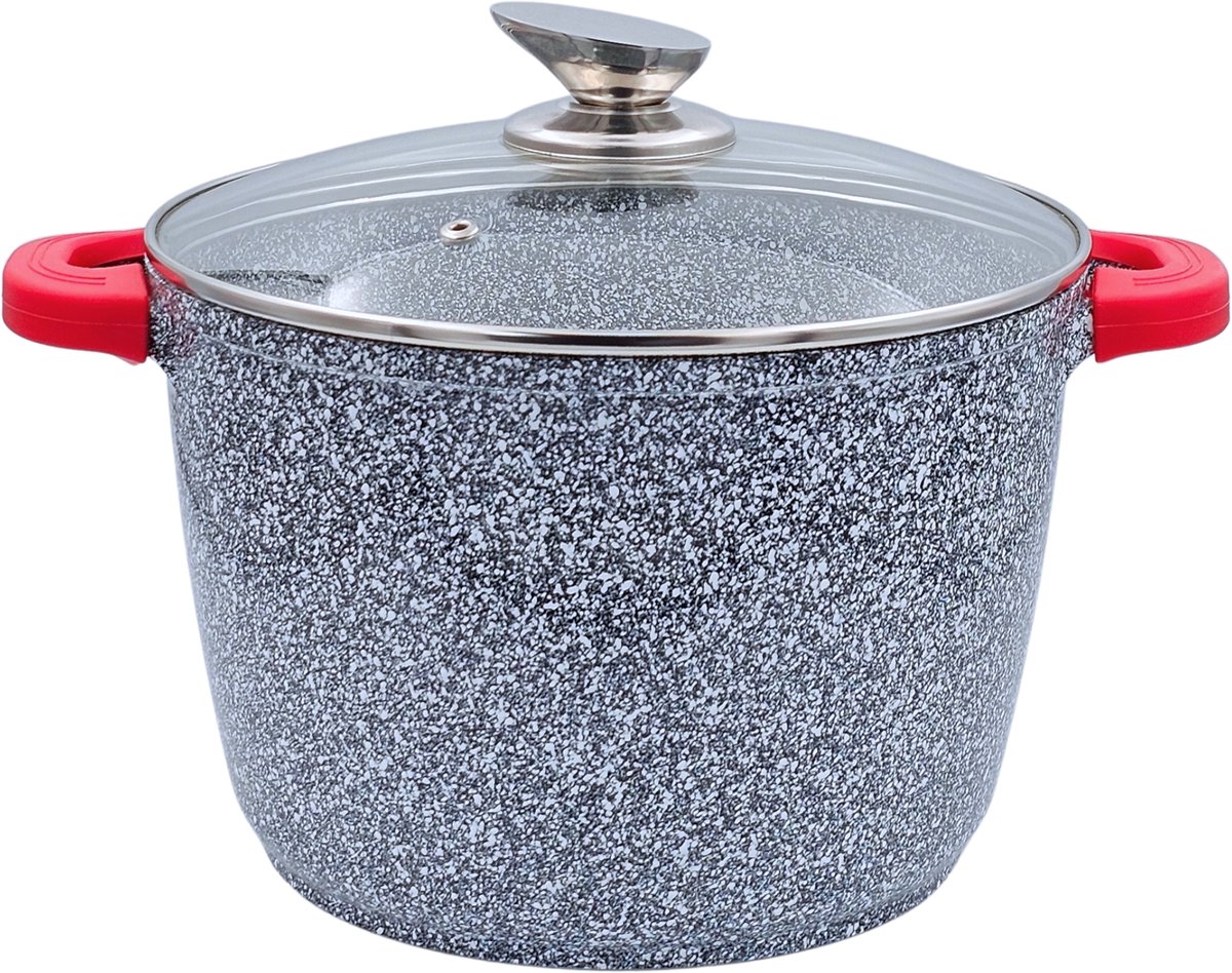 Royal Swiss® Soeppan & Braadpan – Ø 24 cm / 6,2L – RVS Pan met Deksel – Inductie Geschikt & Alle Warmtebronnen – Met Afneembare Handvatten