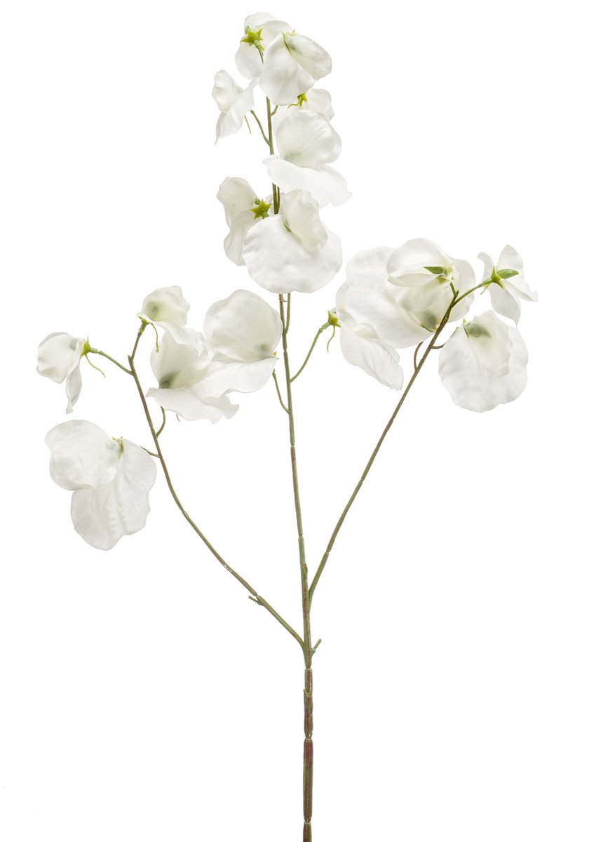 Emerald Kunstbloem Pronkerwt 75cm crème - Kunstplant voor binnen