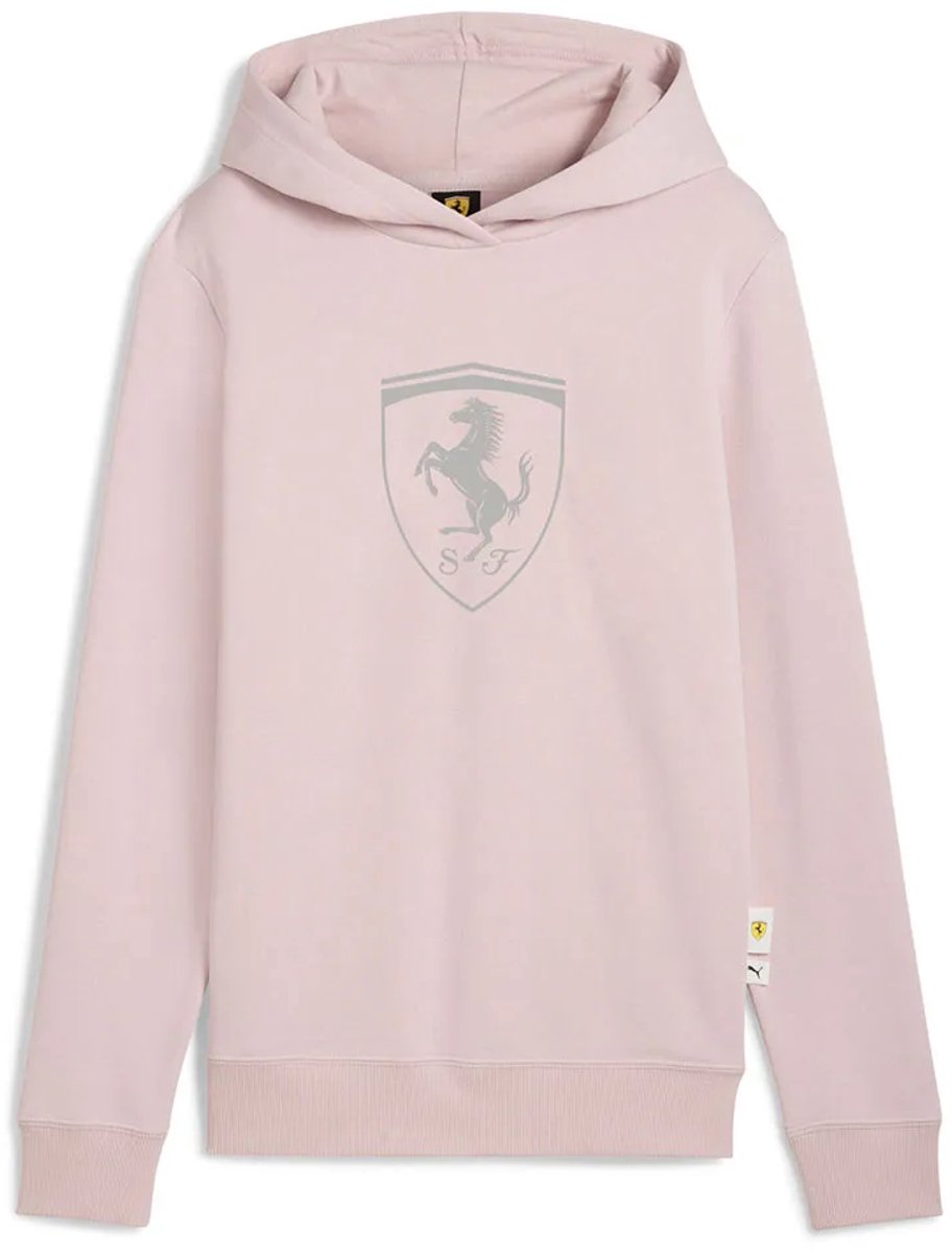 Puma Ferrari Sportswear Wmn Hoodie L Vrouw Mauve Mist