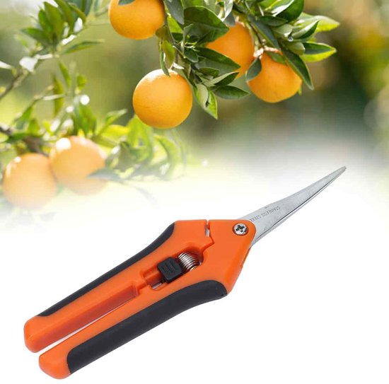 Tuinsschaar 16,5 cm - Veerbelast met Comfortgreep, Minder Belastend voor Handen - Veilig & Stevig voor Snoeien en Onderhoud van Merkloos	 — afbeelding 3