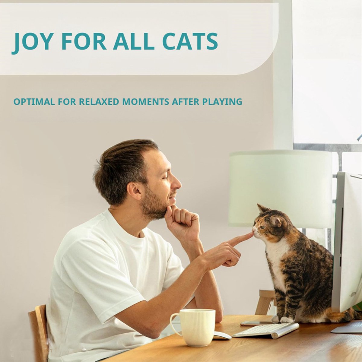 LG Interactieve Kattenhengel thumbnail 5