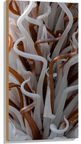 Hout - Abstracte Bruine en Witte Kronkels - 50x100 cm - 9 mm dik - Foto op Hout (Met Ophangsysteem)