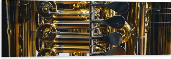 Dibond - Knoppen van Gouden Trompet - 120x40 cm Foto op Aluminium (Wanddecoratie van metaal)
