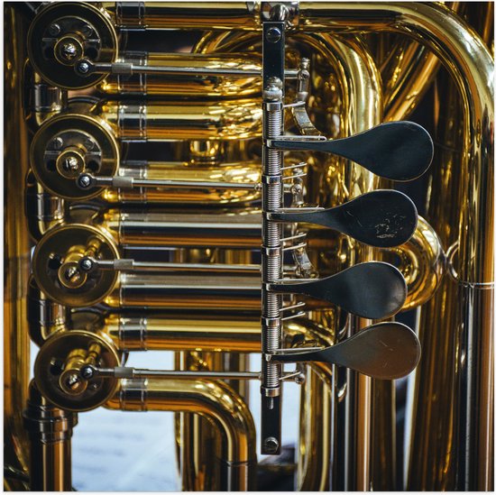 Poster Glanzend – Knoppen van Gouden Trompet - 100x100 cm Foto op Posterpapier met Glanzende Afwerking