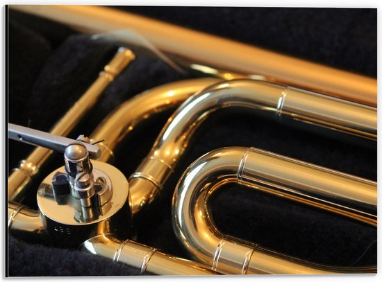 Dibond - Gouden Details van Blaasinstrument - 40x30 cm Foto op Aluminium (Met Ophangsysteem)
