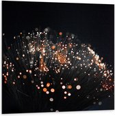 Dibond - Takken met Oranje Lichtjes aan de Bovenkant - 100x100 cm Foto op Aluminium (Met Ophangsysteem)