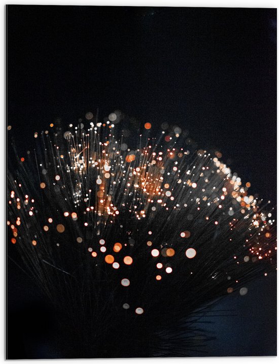 Dibond - Takken met Oranje Lichtjes aan de Bovenkant - 60x80 cm Foto op Aluminium (Wanddecoratie van metaal)