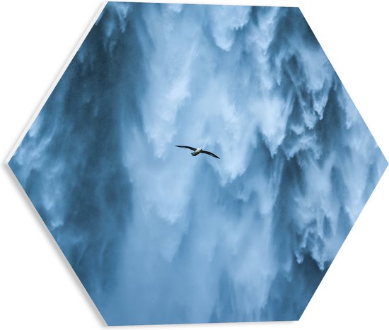 PVC Schuimplaat Hexagon - Vogel Vliegend Langs Hoge Wilde Waterval - 40x34.8 cm Foto op Hexagon (Met Ophangsysteem)