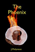 Blank Magic 1 - The Phoenix